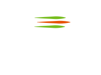 White Cintilight logo